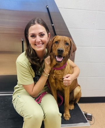 A member of our team with a happy Vizsla patient